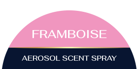 Framp scent diffusers uae