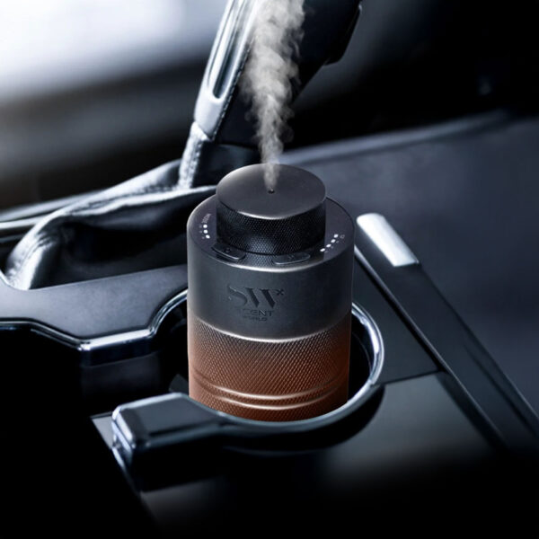 SW Car - Image 2