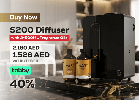 Offer 1