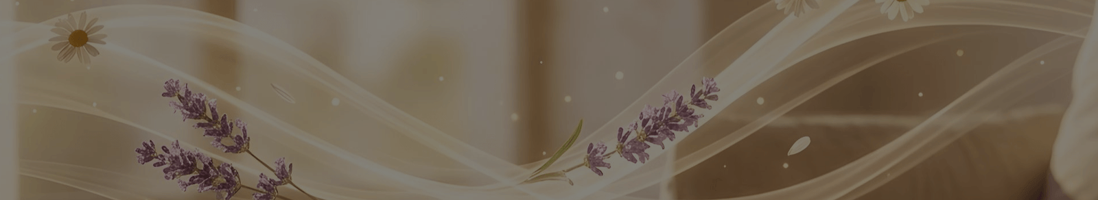 Offers Banner